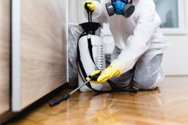 Best Cockroach Control Services  in Donalsonville, GA