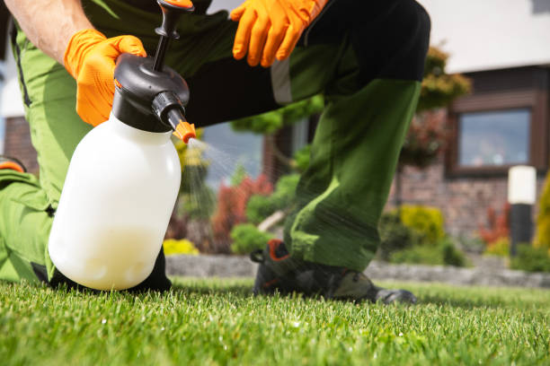 Best Affordable Pest Control Services  in Donalsonville, GA