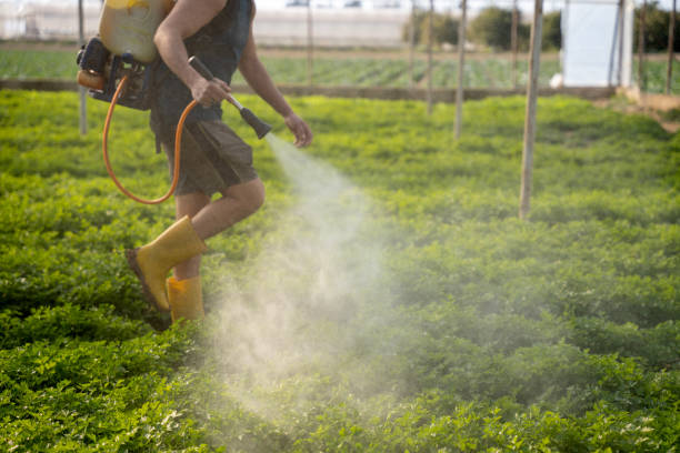 Professional Pest Control in Donalsonville, GA