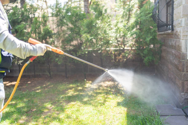 Best Emergency Pest Control  in Donalsonville, GA