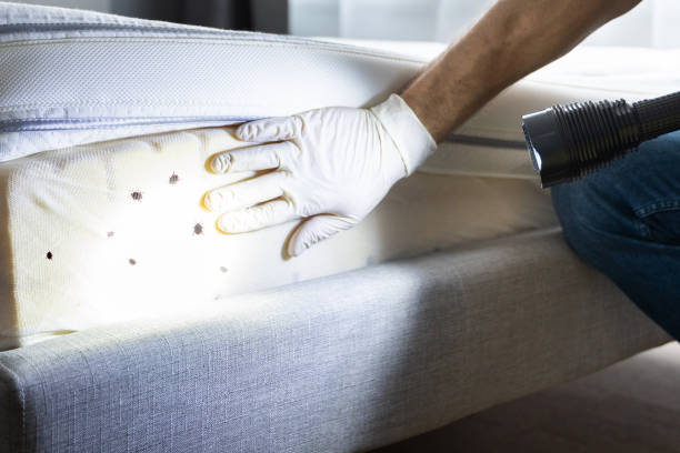 Best Pest Inspection Near Me  in Donalsonville, GA