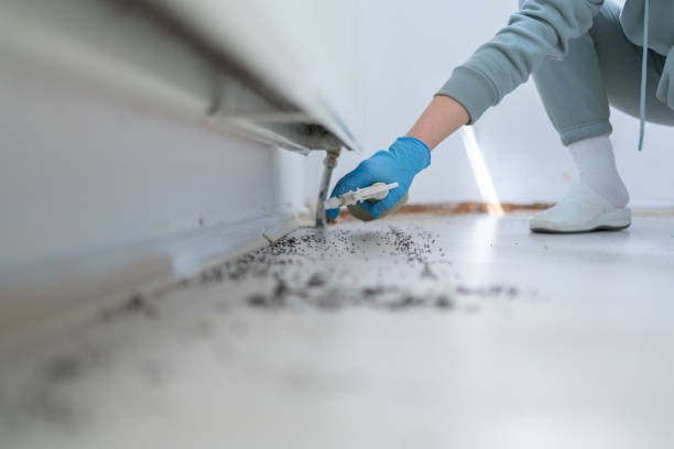 Best Commercial Pest Control Services  in Donalsonville, GA